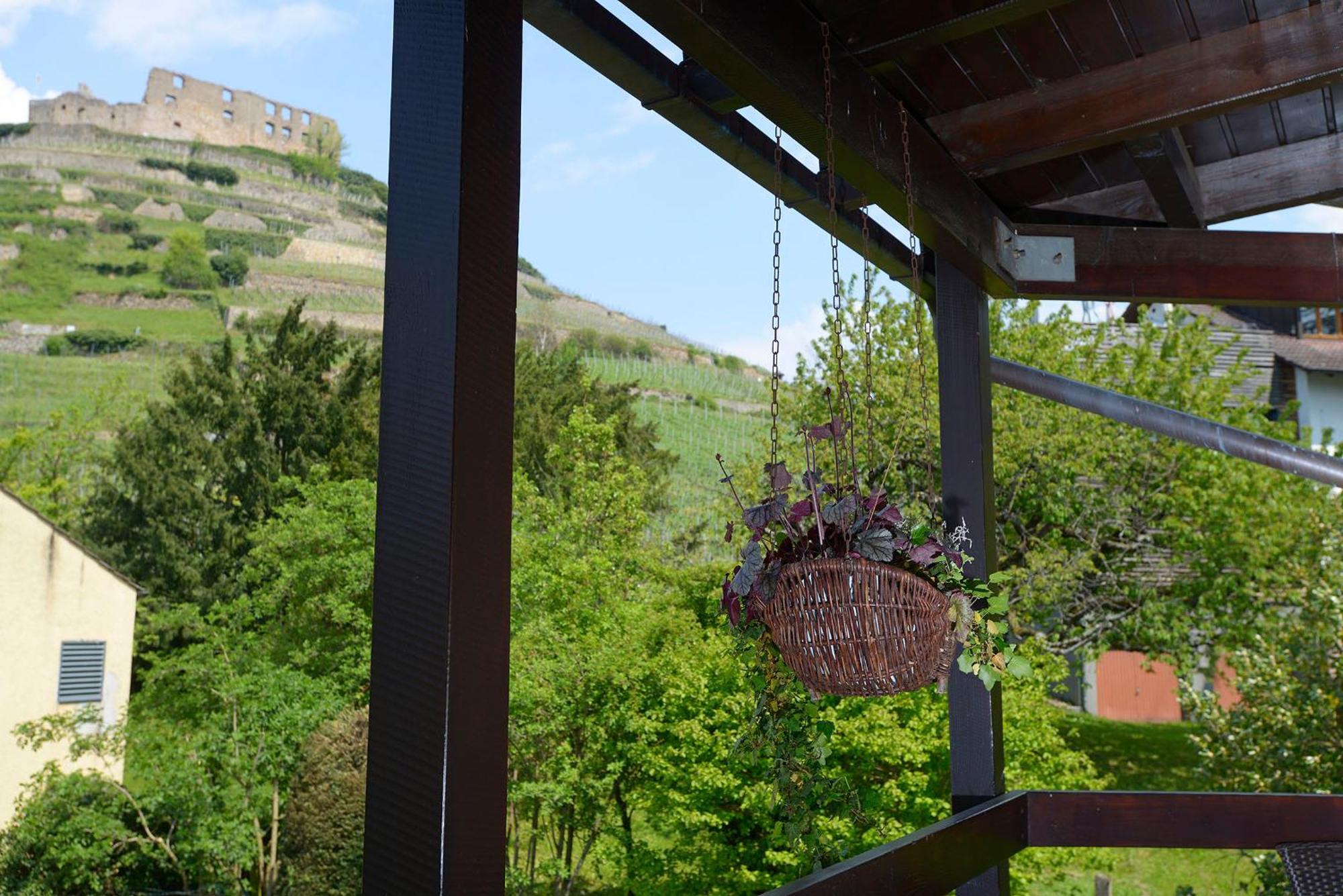 Gaestehaus Goethe Hotel Staufen im Breisgau Buitenkant foto